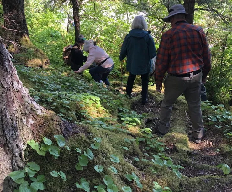 Outings with Woods & Wetlands