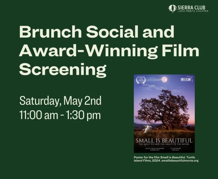 Brunch social and award-winning film screening
