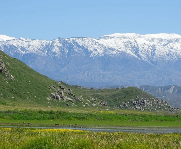 Scenic view of the San Jacinto Wildlife Area 