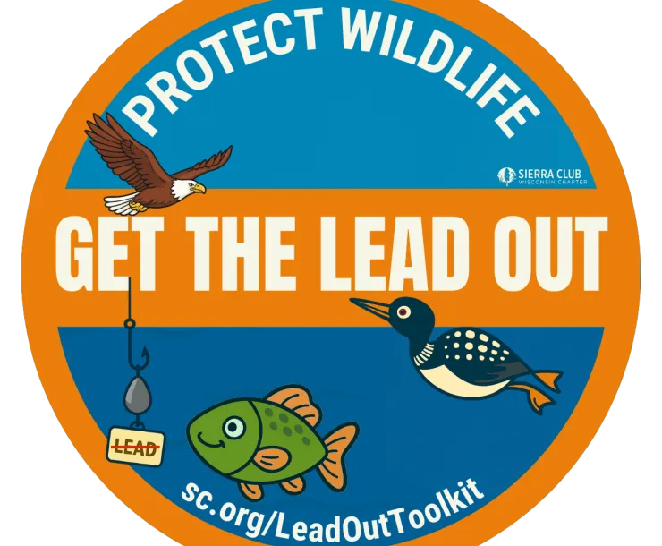 Protect Wildlife and Get the Lead out written out a blue circle with an orange border. There is an eagle, loon, and fish in the photo and a sicker with a tag that has the word "lead" crossed out