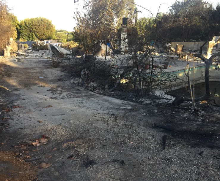 wildfire aftermath