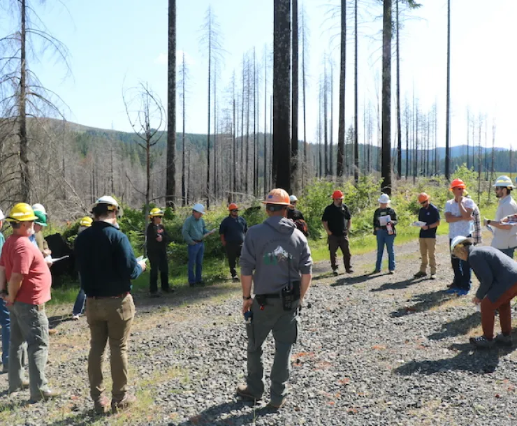 A group of people stand in a circle talking on a dirt forest road