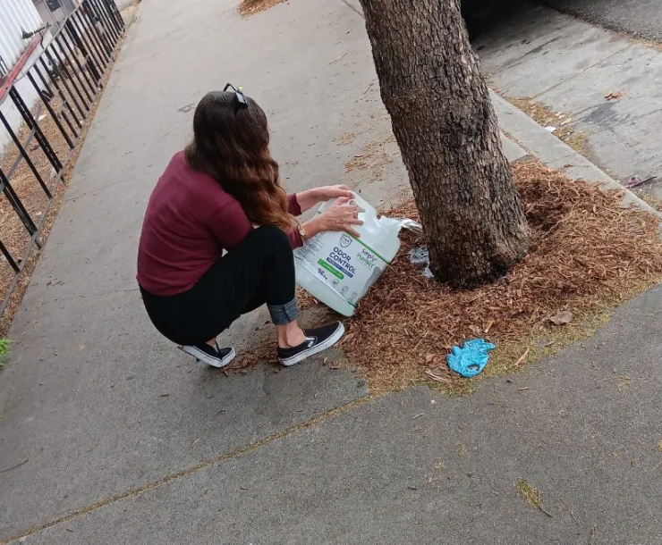 Volunteer watering a tree