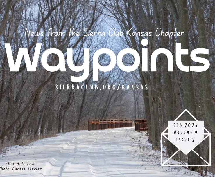 Waypoints Feb Header
