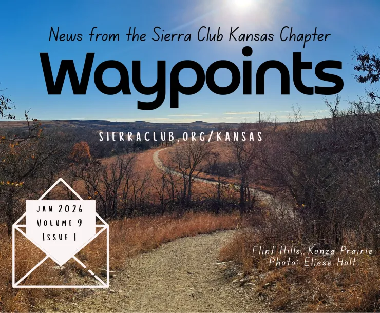 Waypoints Jan Header
