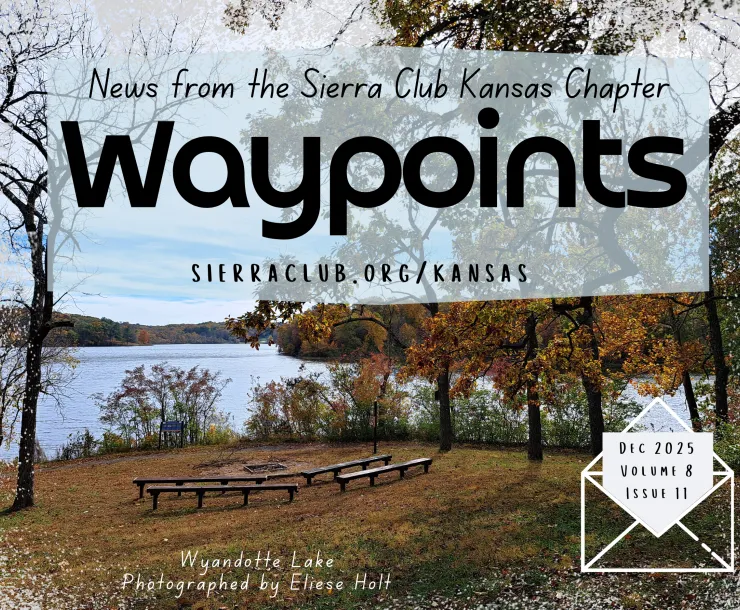 Waypoints Dec 2025 Header