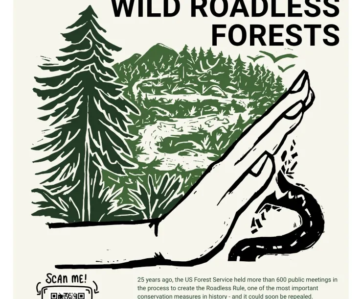 Drawing of a hand stopping a road from going through a forest with script that reads "Wild about roadless forests"