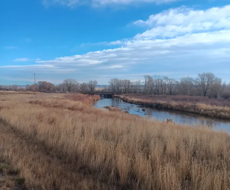 The Laramie River along the Laramie Greenbelt