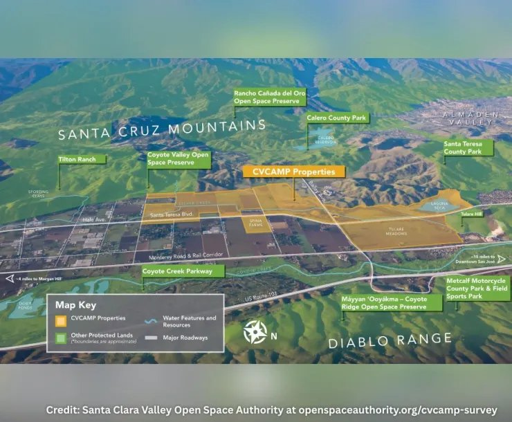 Coyote Valley Survey