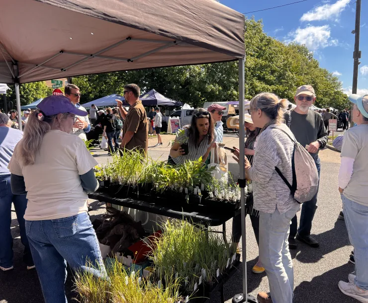 Farmers Market 2026