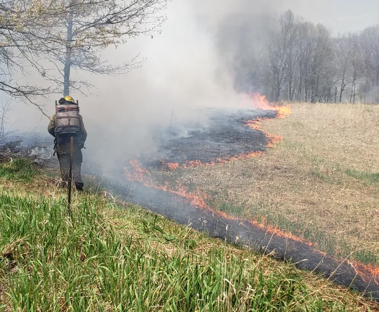 Prairie Burn