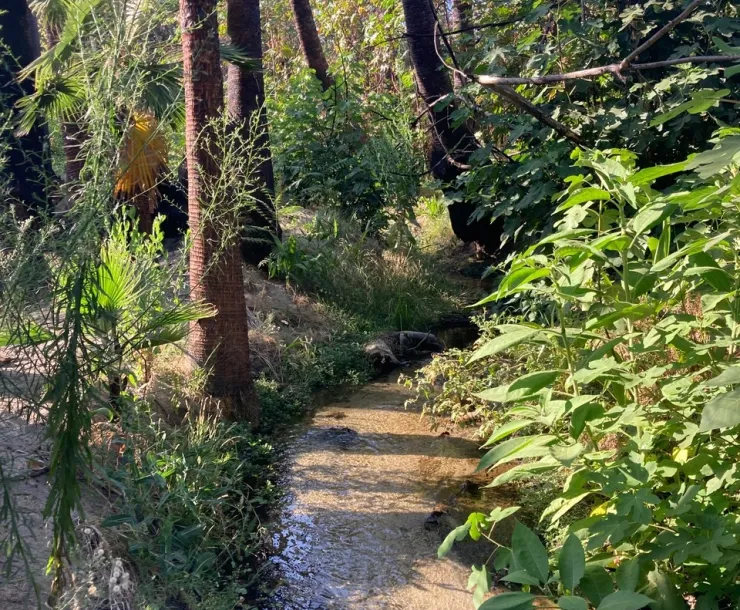 San Pascual Park