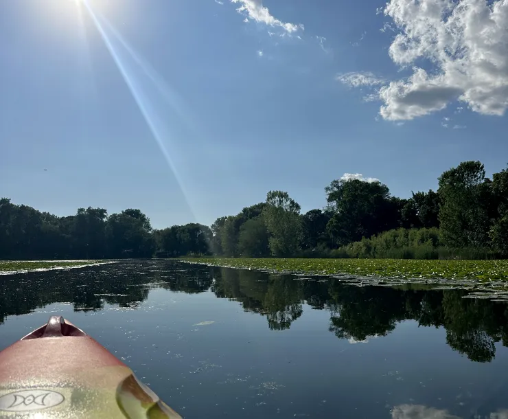 Photo off the front of a kayak, of calm water with lily pads under a sunny summer sky. Photo credit: Pvtkach