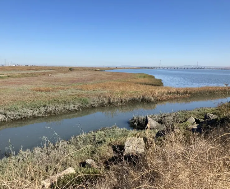 Sea level rise impact on shorelines