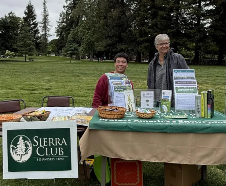 Mountain View tabling
