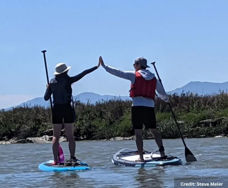 Paddleboarders