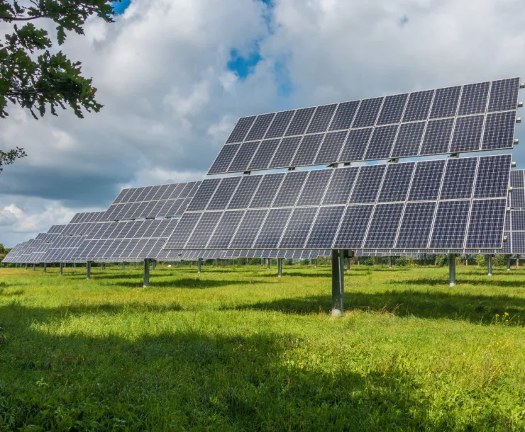 solar farm array
