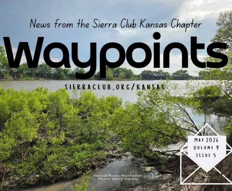 Waypoints Newsletter Header May 2026