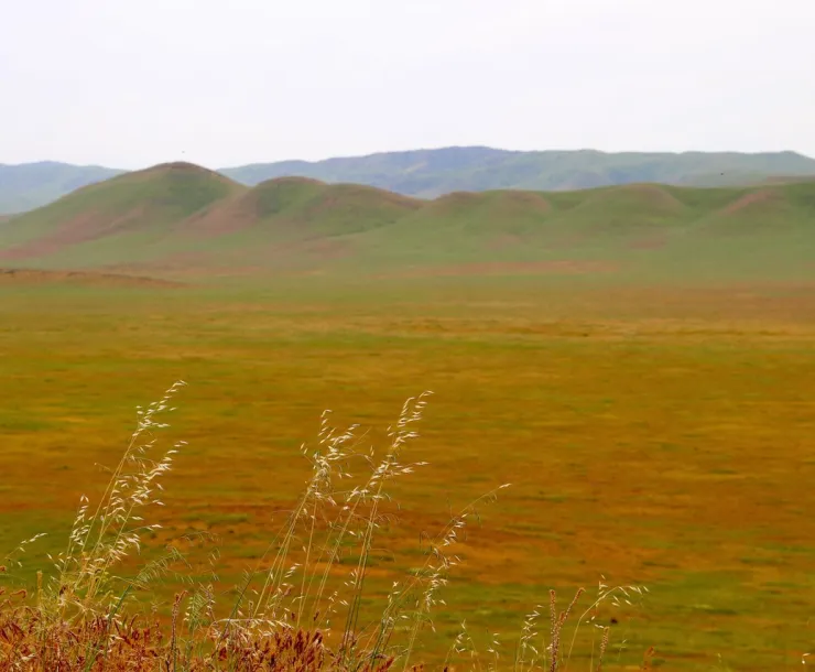 Carrizo Plain landscape