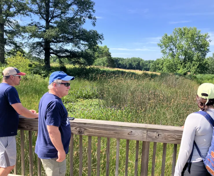 Three people looking over a wetland area. There are tall and short grasses, with trees and a blue sky in the background