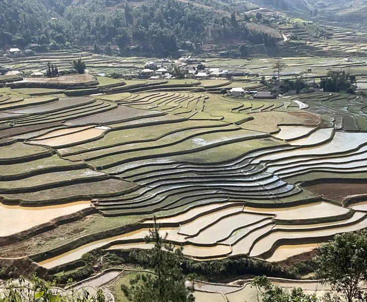 Water-filled fields on hillside