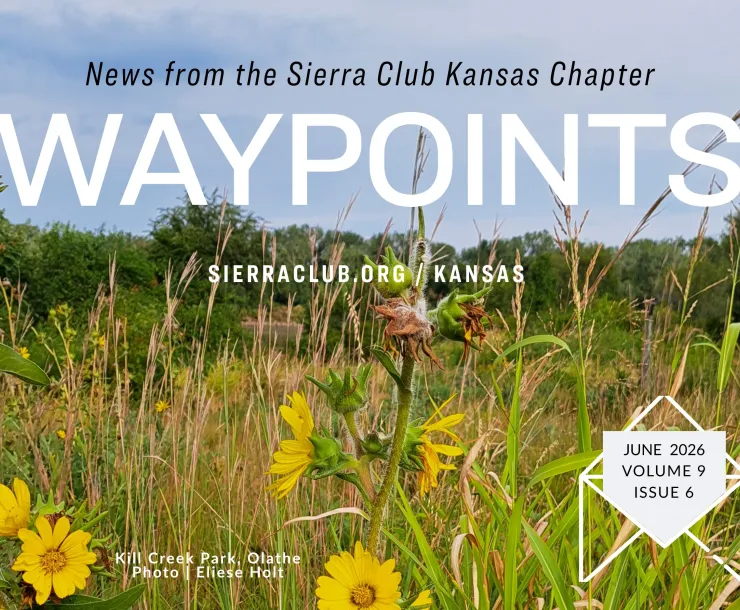 Waypoints June Header