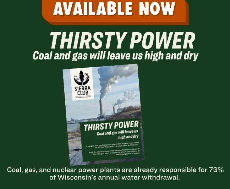 Available Now: Thirsty Power: Coal and gas will leave us high and dry cover