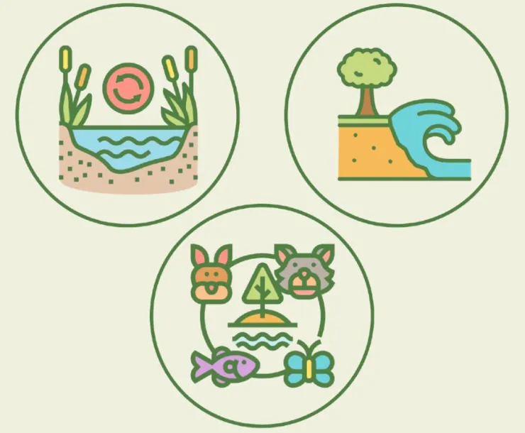 How and when we adapt to sea level rise matters