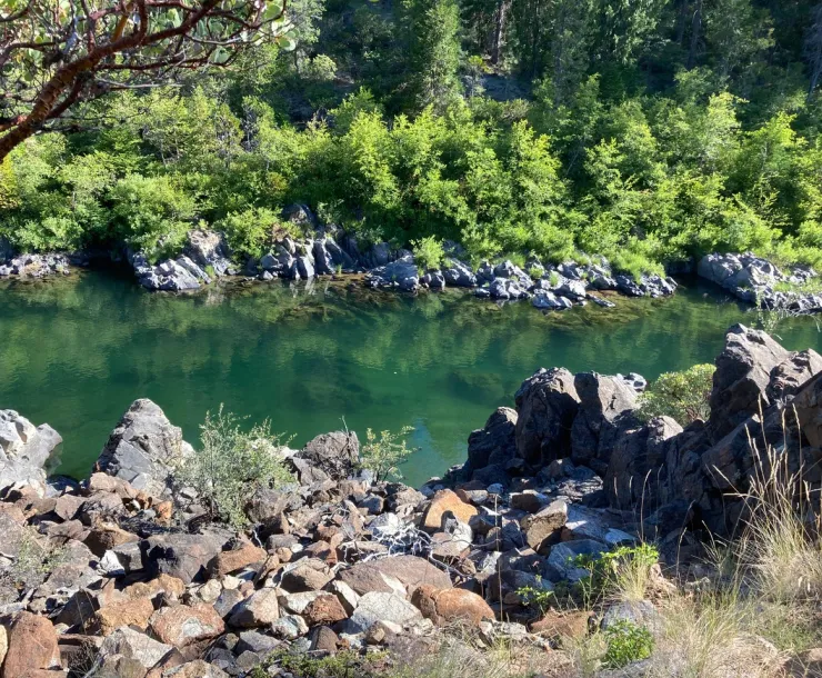 A photo of the Illinois River from the banks. There are rocks in the foreground and shrubs and trees on the opposite side of the river.