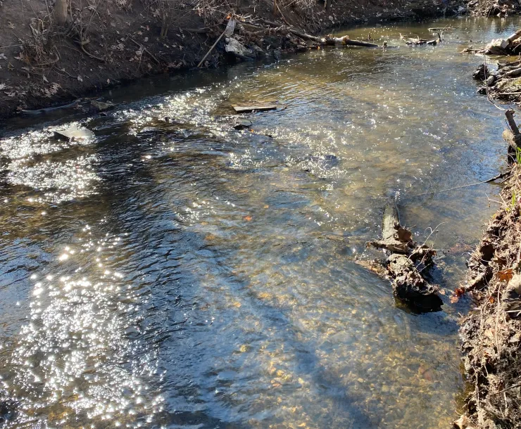 Clean Power Lake County Cleanup