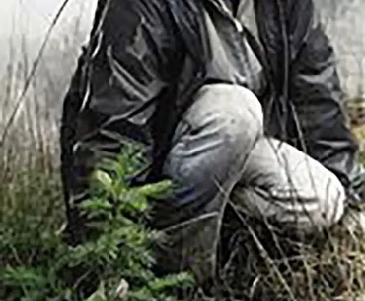 Sierra Club leader Lucille Vinyard with a small redwood tree.