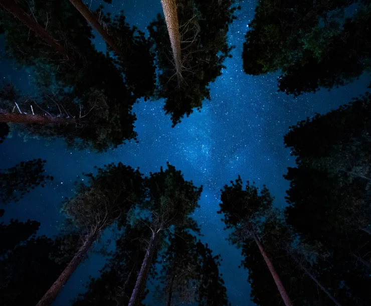 Nightsky.jpg