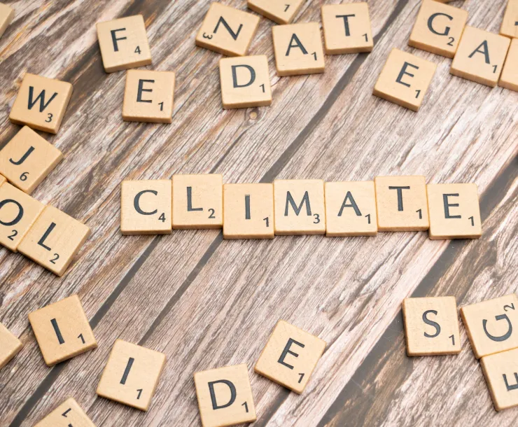 Climate and Canvasing