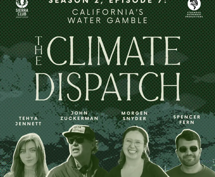 The Climate Dispatch