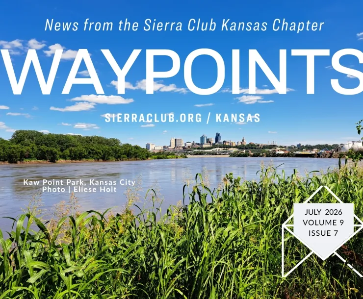 Waypoints July Header