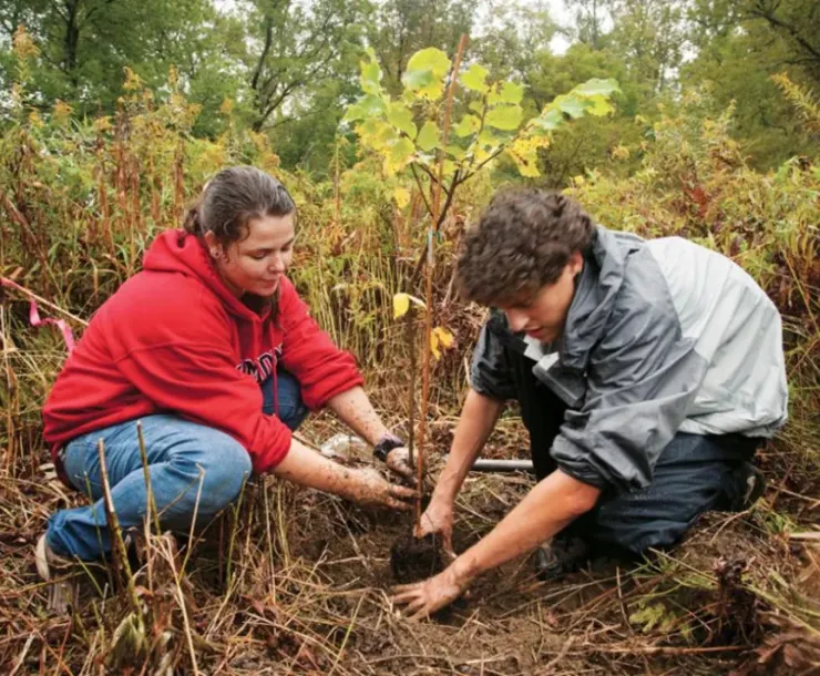 students digging in community garden