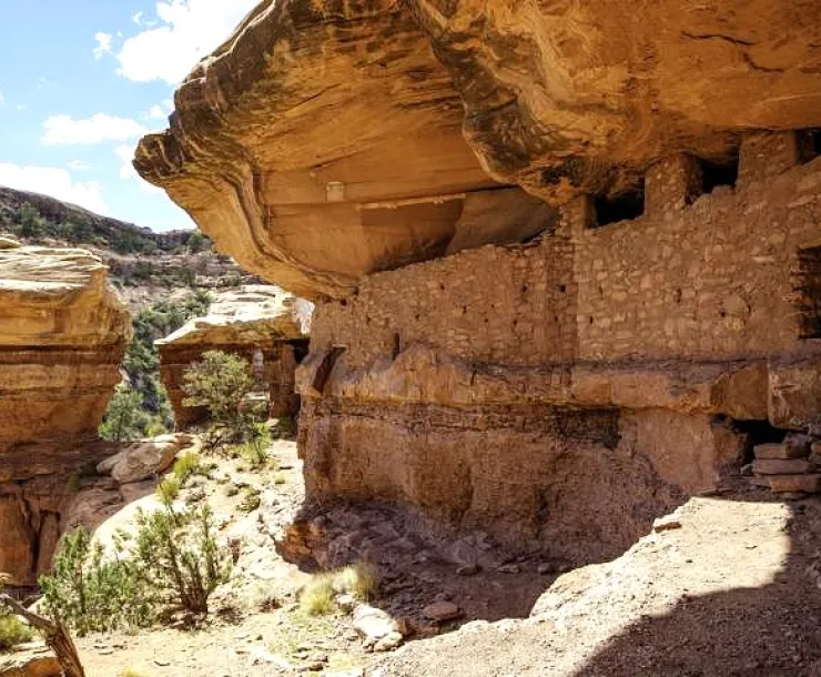 Bears Ears