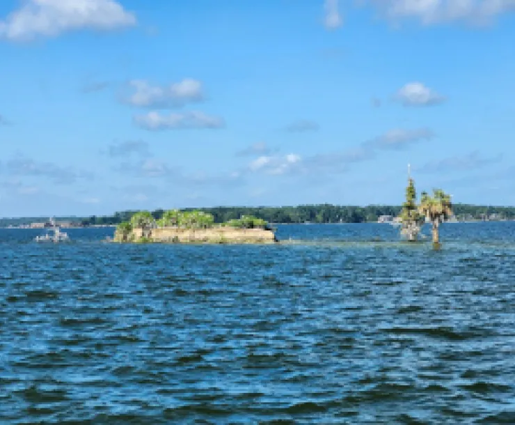 Bird Island on Lake Conroe