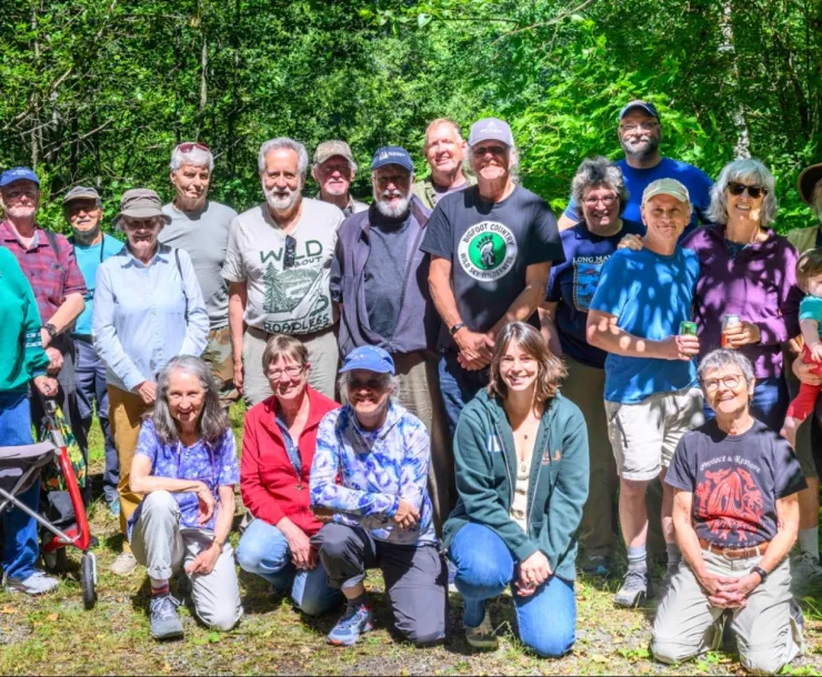 A large group of people standing in a grove of trees.