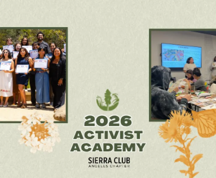 Activist Academy Header