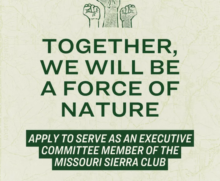 Together we will be a force of nature