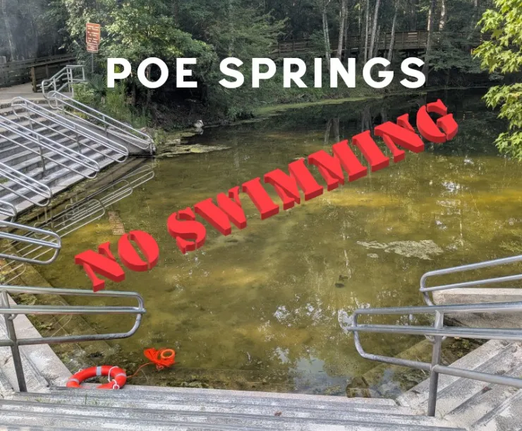 Picture of Poe Springs Swimming area with low water level and full of algae