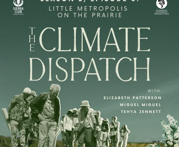 The Climate Dispatch