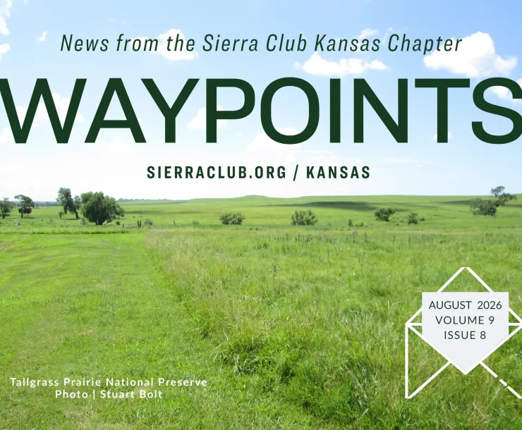 Waypoints August Header