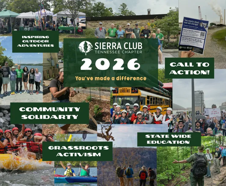 Collage of Sierra Club Achievements