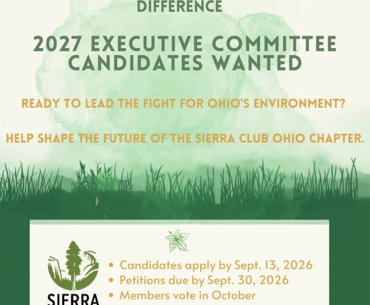 SCO-Ex-com recruitment flyer 