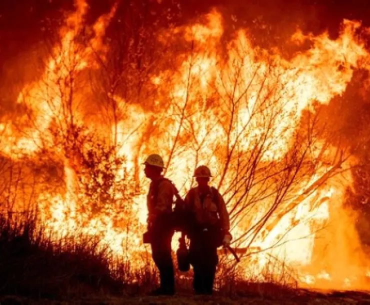 forest fire