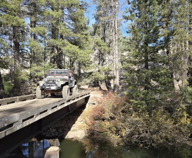 Car crossing bridge in forest