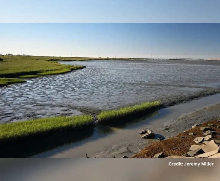 Cooley Landing