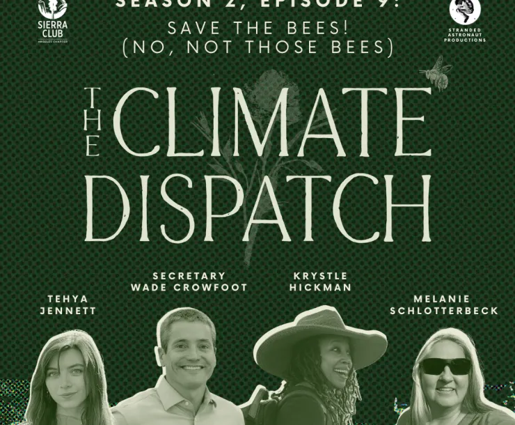 The Climate Dispatch